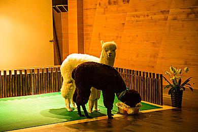 《哥特王朝：重制版》全新基于引擎预告片公布